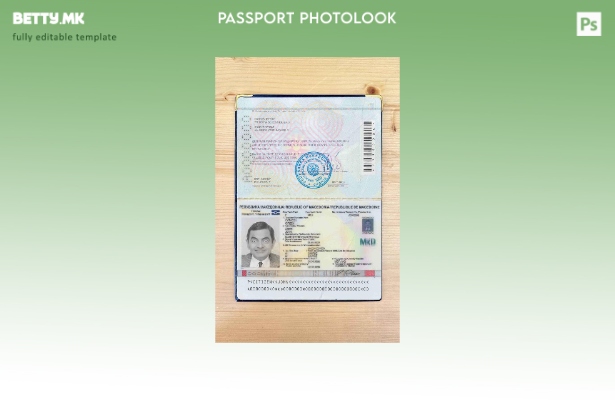 Модерен стил Шаблон за изглед на фотографии на Македонија помине